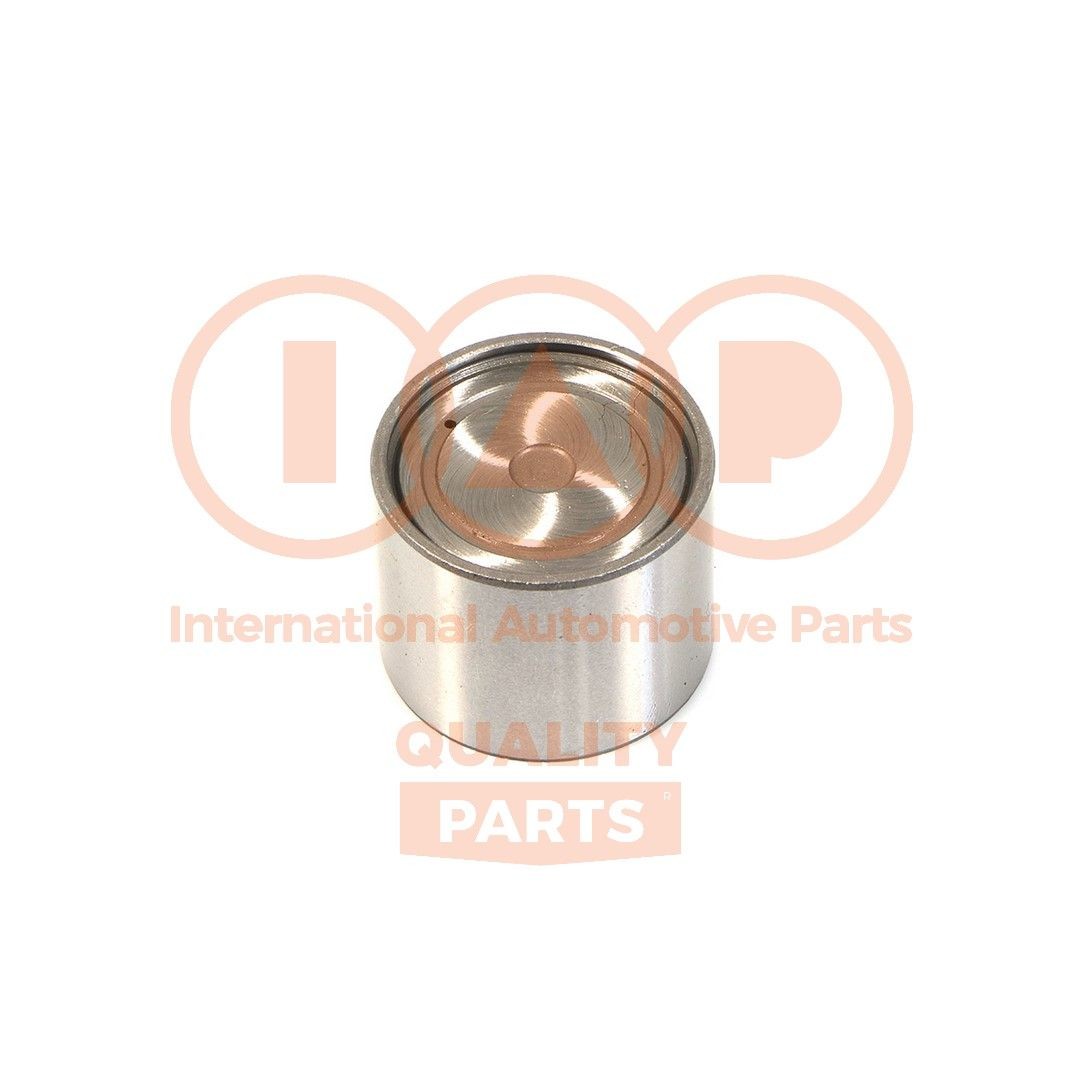IAP QUALITY PARTS Tacheți număr articol: 125-13031 ieftin