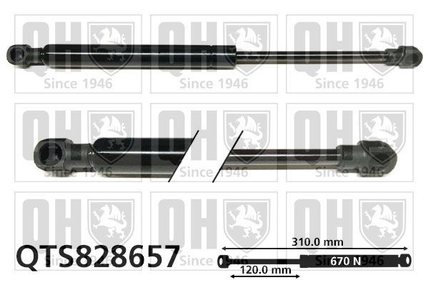 QUINTON HAZELL Gas Spring, door Article number: QTS828657 cheaply