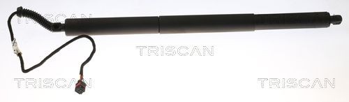 TRISCAN Tailgate strut Article number: 8710 29302 cheaply