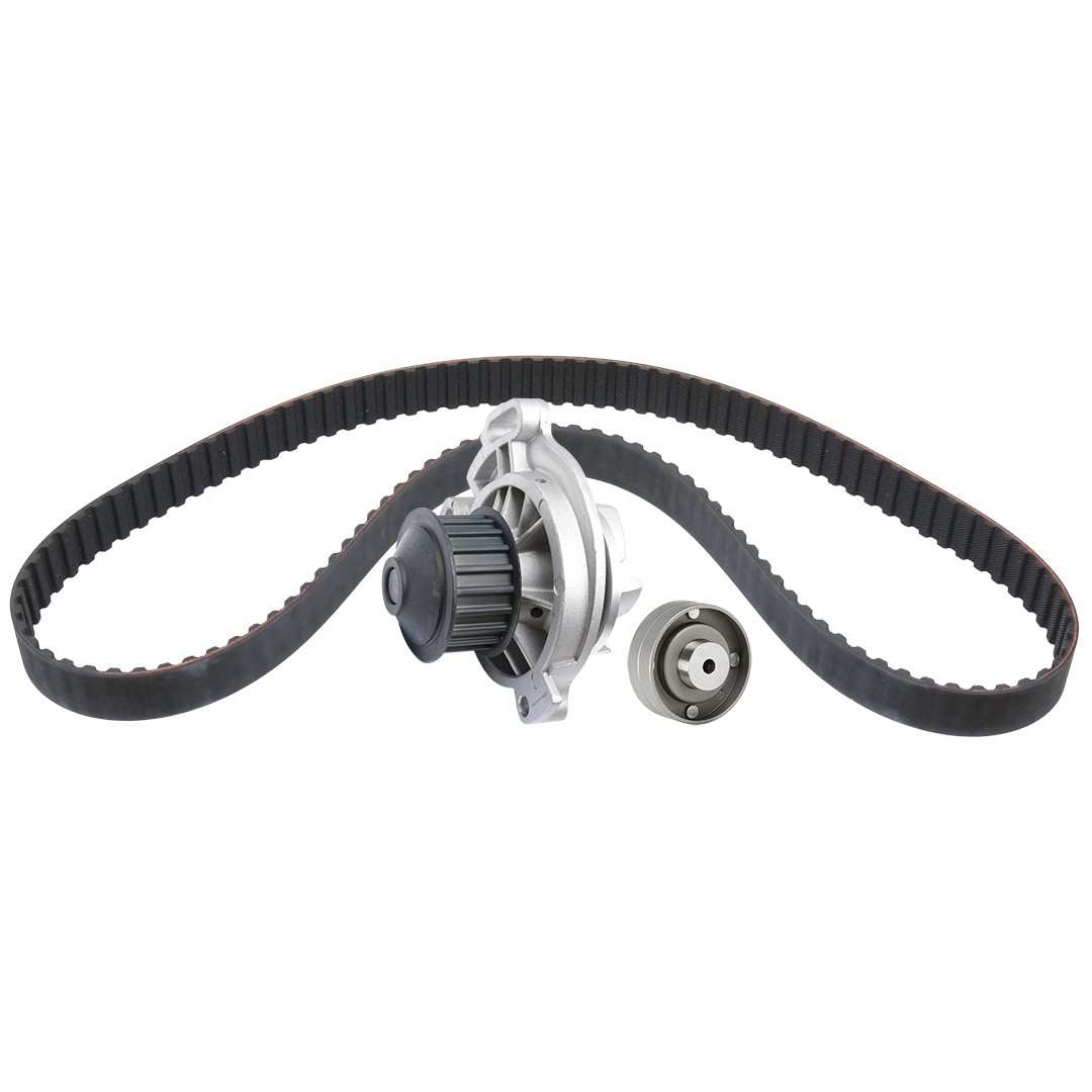 RIDEX Water pump and timing belt kit Article number: 3096W0251 cheaply