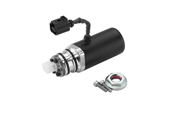 BorgWarner DS118589 Αντλία, πολύδισκος συμπλέκτης κίνησης σε όλους τους τροχούς PASSAT 3.6 R36 4motion 300 PS Βενζίνη 2010