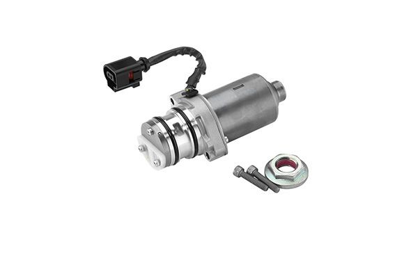 BorgWarner DS119863 Αντλία, πολύδισκος συμπλέκτης κίνησης σε όλους τους τροχούς PASSAT 3.6 R36 4motion 300 PS Βενζίνη 2010