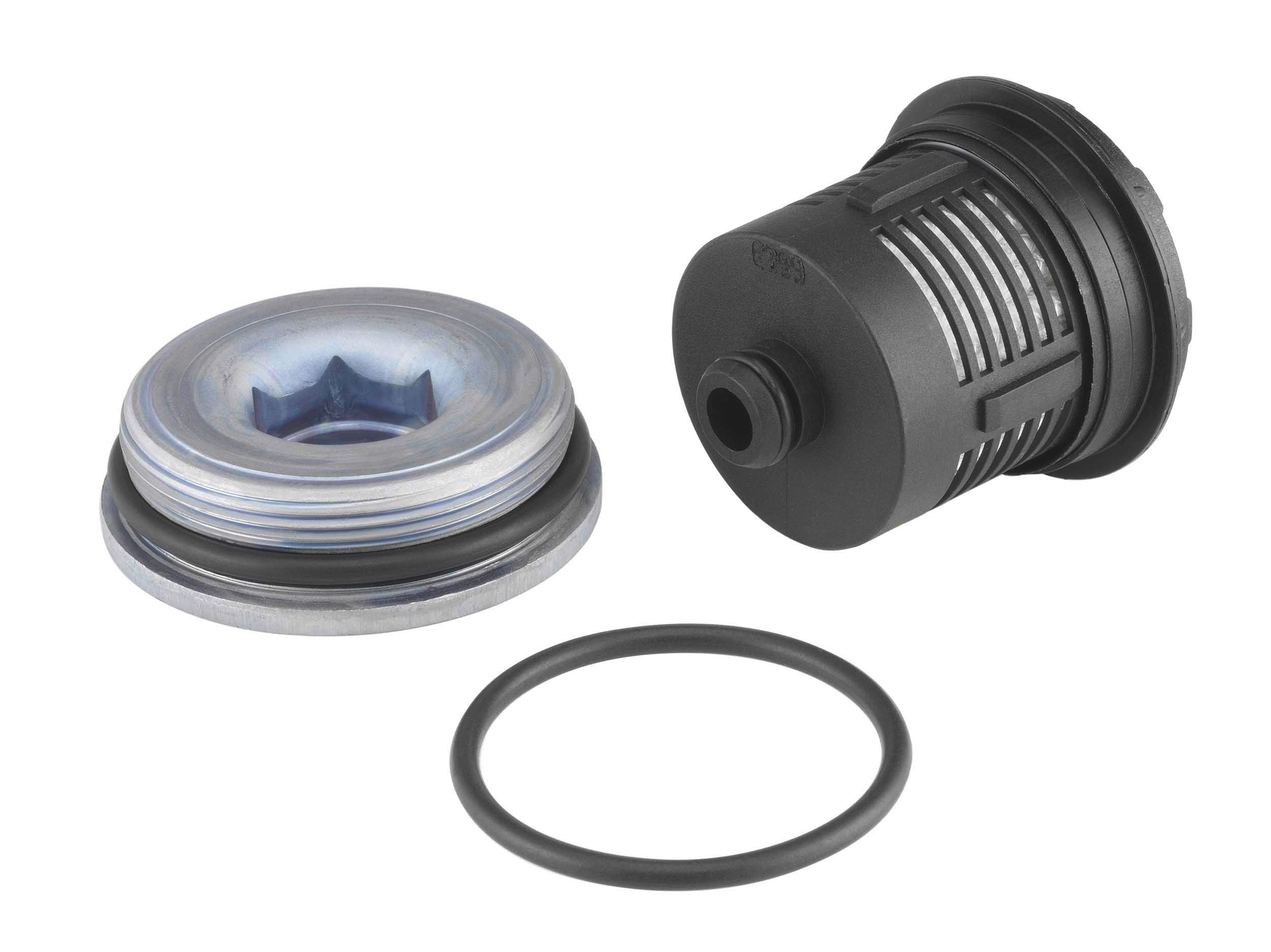 BorgWarner Filtr płynu, sprzęgło Haldex Numer artykułu: DS120456 niedrogo