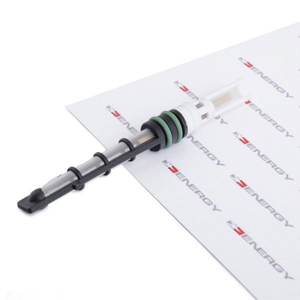 ENERGY NE00528 Μπεκ, βαλβίδα εκτόνωσης PASSAT 3.6 FSI 4motion 280 PS Βενζίνη 2010