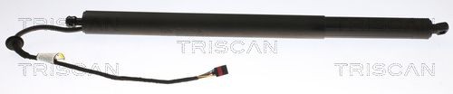 TRISCAN Pneumaticka pruzina, zavazadlovy / nakladovy prostor Číslo článku: 8710 43302 levně