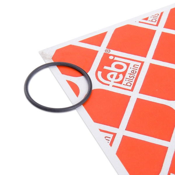 FEBI BILSTEIN Garnitura, pompa combustibil număr articol: 172666 ieftin