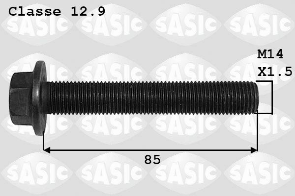 SASIC 8706021 Rihmarattakruvi MONDEO 1.8 TDCi 125 HP Diisel 2015