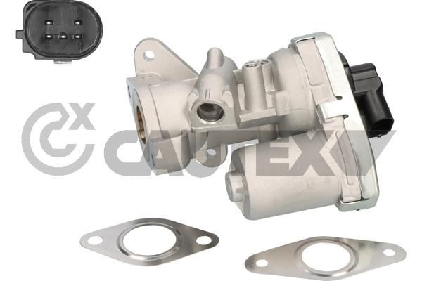 CAUTEX Valve, EGR exhaust control Article number: 960007 cheaply