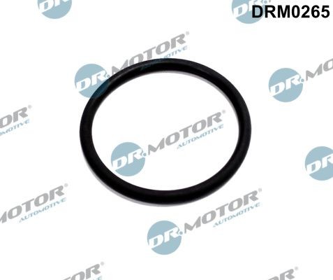 DR.MOTOR AUTOMOTIVE Gasket Set, EGR system Article number: DRM0265 cheaply