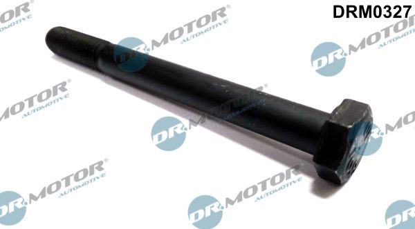 DR.MOTOR AUTOMOTIVE Vijak, drzalo vbrizgalne sobe številka artikla: DRM0327 poceni