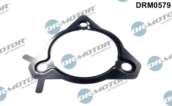 DR.MOTOR AUTOMOTIVE Tesnilo, tlacilka za vbrizgavanje goriva številka artikla: DRM0579 poceni