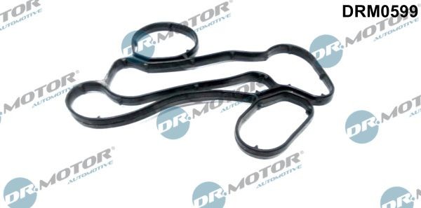 DR.MOTOR AUTOMOTIVE Junta, carcasa del filtro de aceite Número de artículo: DRM0599 a buen precio