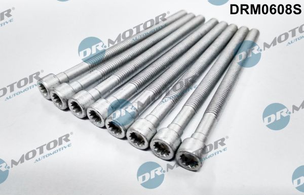 DR.MOTOR AUTOMOTIVE Vijak, drzalo vbrizgalne sobe številka artikla: DRM0608S poceni