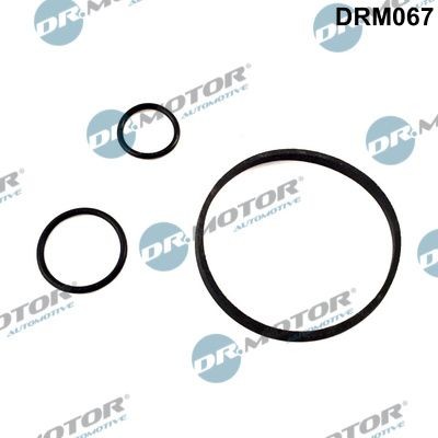 DR.MOTOR AUTOMOTIVE Set garnituri, radiator ulei număr articol: DRM067 ieftin
