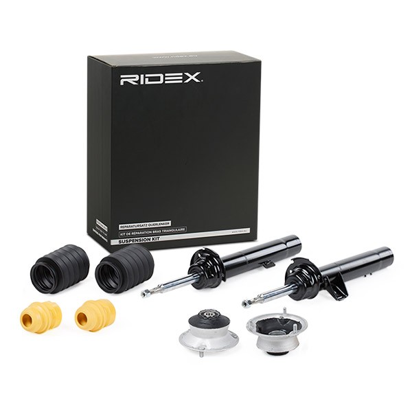 RIDEX Pakabos komplektas, amortizatorius prekės numeris: 1185S0010 nebrangu