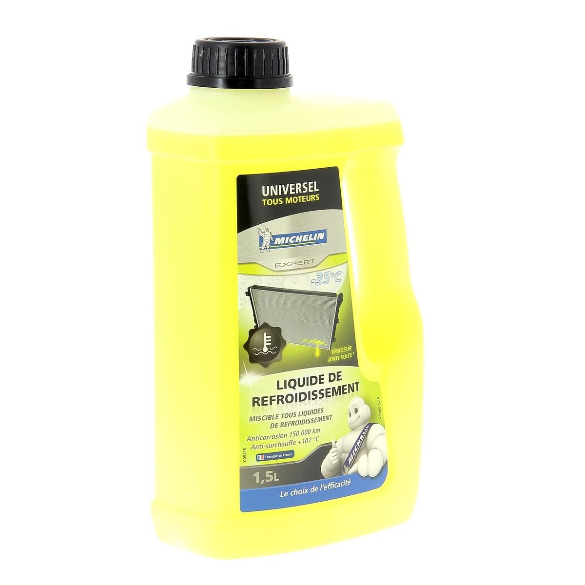 Michelin 009215 Frostbeskyttelse POLO 1.0 MPI Flex 84 HK Benzin/Ethanol