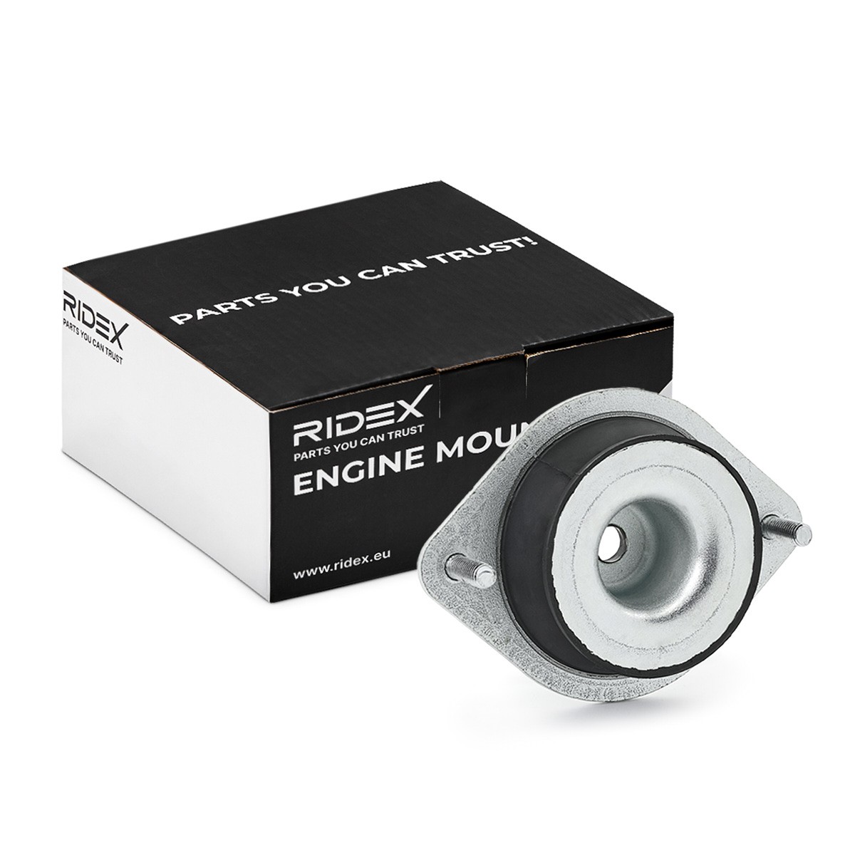 RIDEX Paigutus, Mootor Artikli number: 247E0725 soodsalt