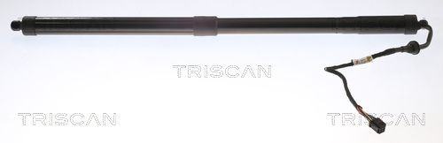 TRISCAN Kaasujousi, tavaratila tuotenumero: 8710 16301 edullisesti