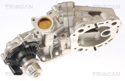TRISCAN EGR valve Article number: 8813 16001 cheaply