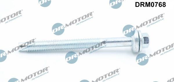 DR.MOTOR AUTOMOTIVE Vijak, drzalo vbrizgalne sobe številka artikla: DRM0768 poceni