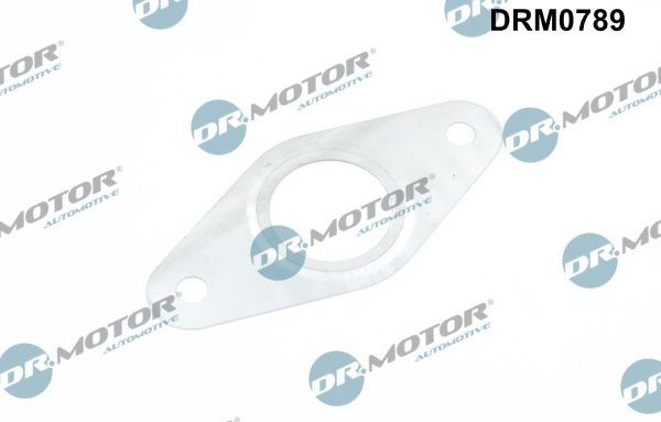 DR.MOTOR AUTOMOTIVE Gasket Set, EGR system Article number: DRM0789 cheaply