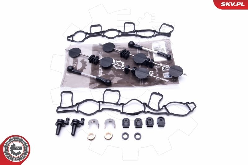 ESEN SKV Repair Kit, intake manifold module Article number: 49SKV500 cheaply