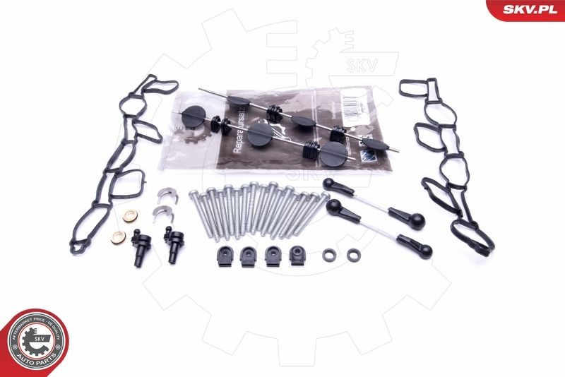 ESEN SKV Repair Kit, intake manifold module Article number: 49SKV501 cheaply