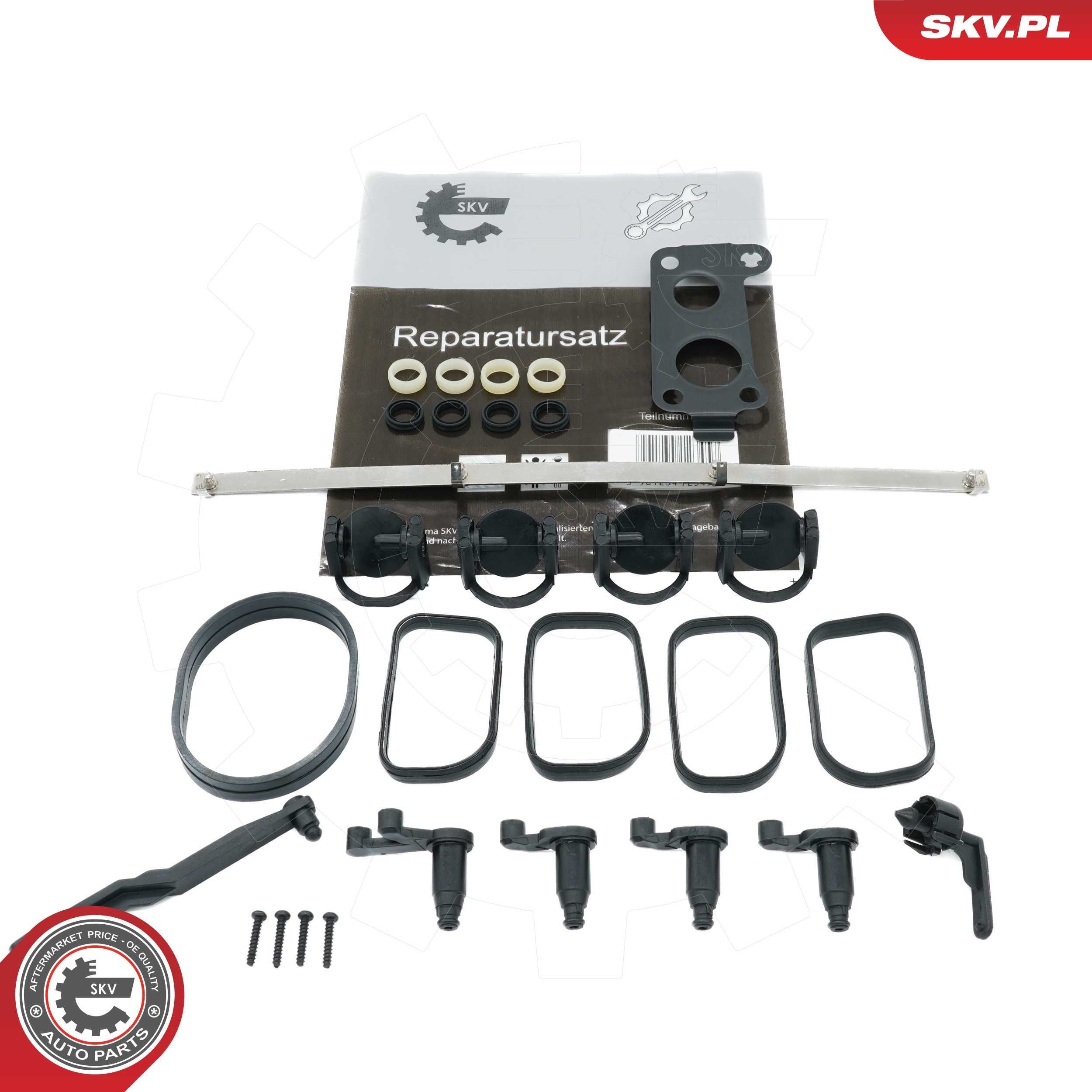 ESEN SKV Repair Kit, intake manifold module Article number: 49SKV505 cheaply
