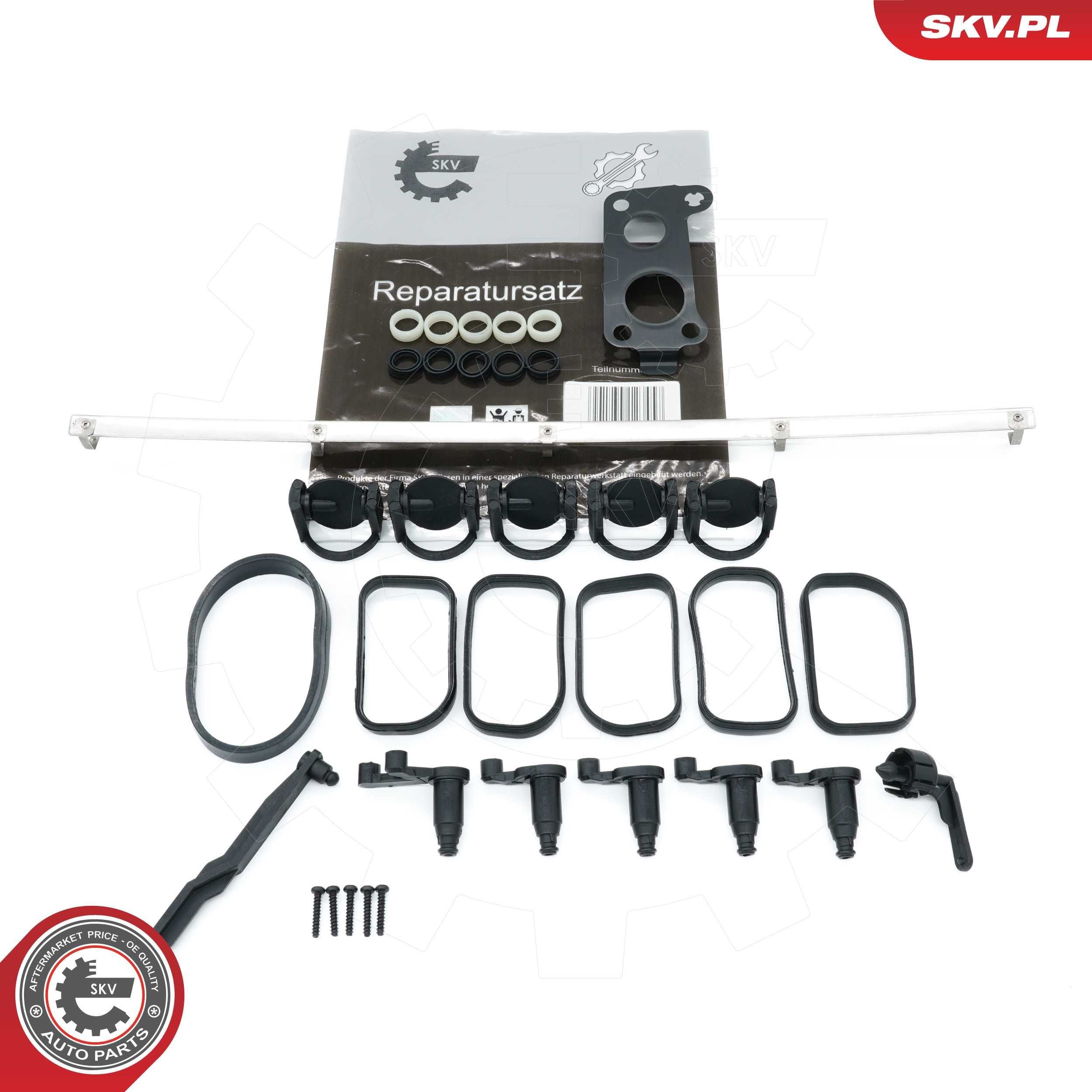 ESEN SKV Repair Kit, intake manifold module Article number: 49SKV506 cheaply