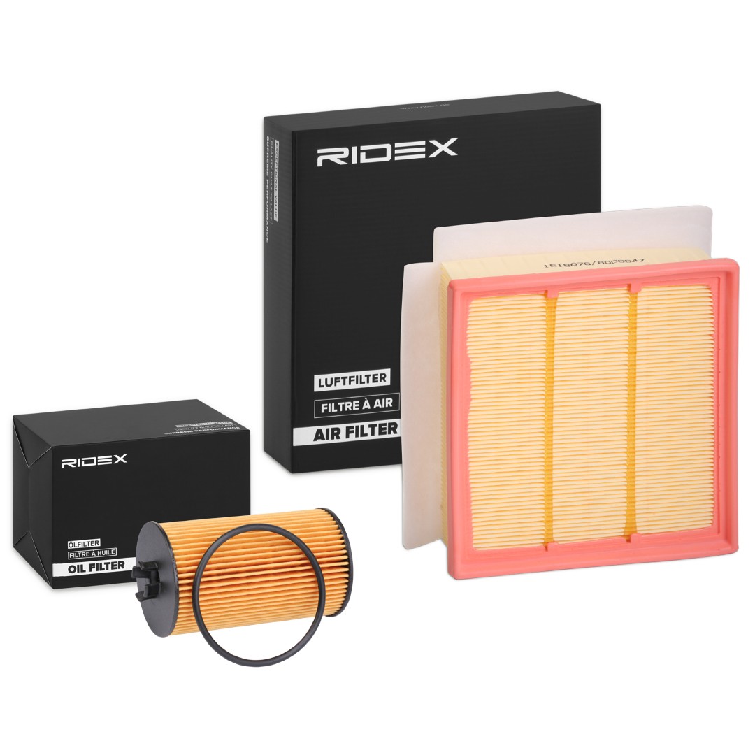 RIDEX Filter kit Varenummer: 4055F1138 billige