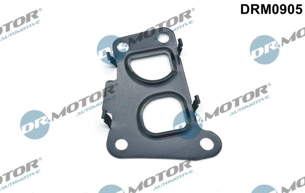 DR.MOTOR AUTOMOTIVE Seal, EGR valve Article number: DRM0905 cheaply