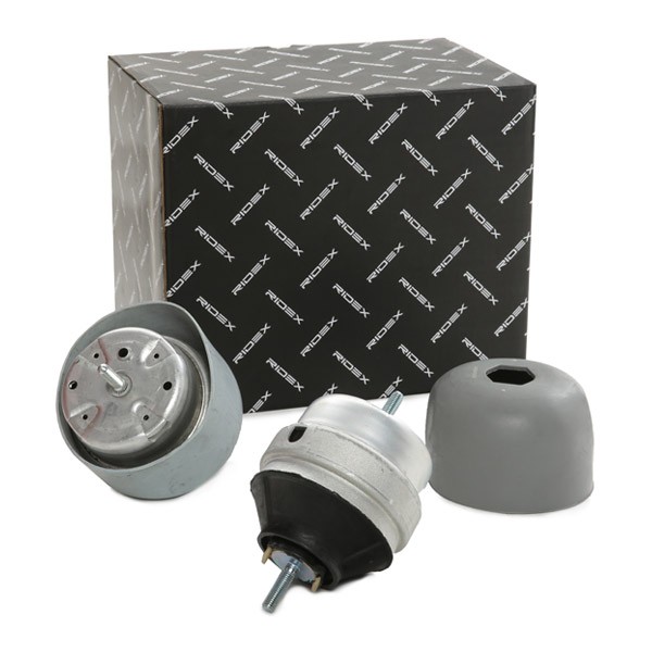 RIDEX Supporto motore Numero articolo: 247E0800 poco costoso