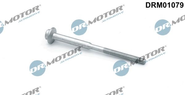 DR.MOTOR AUTOMOTIVE DRM01079 Βίδα, βάση του μπεκ CADDY 2.0 TDI 75 PS Πετρέλαιο