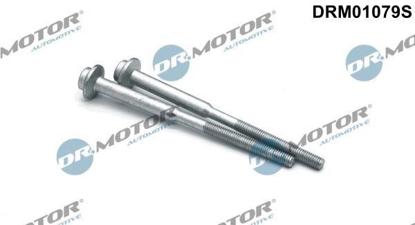 DR.MOTOR AUTOMOTIVE DRM01079S Βίδα, βάση του μπεκ CADDY 2.0 TDI 75 PS Πετρέλαιο