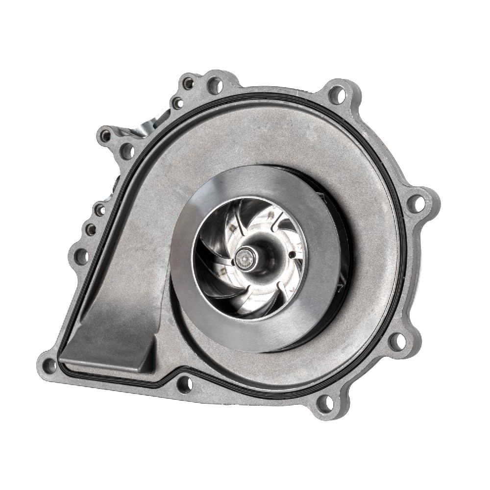 FEBI BILSTEIN Water pump Article number: 177256 cheaply