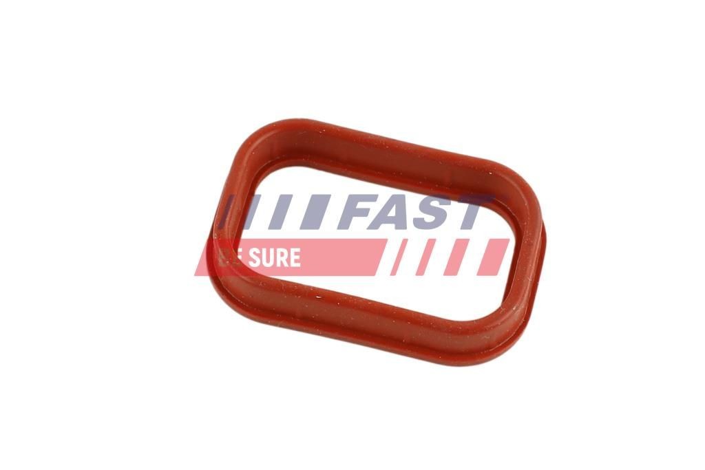 FAST Inlet manifold gasket Article number: FT49424 cheaply