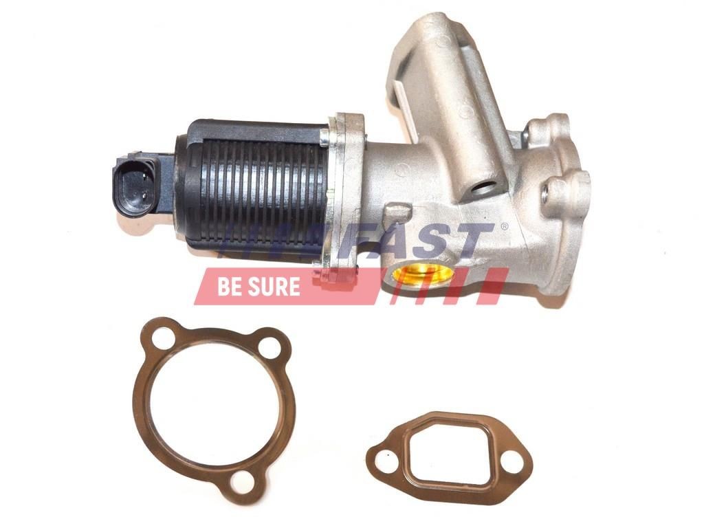 FAST EGR valve Article number: FT60201 cheaply