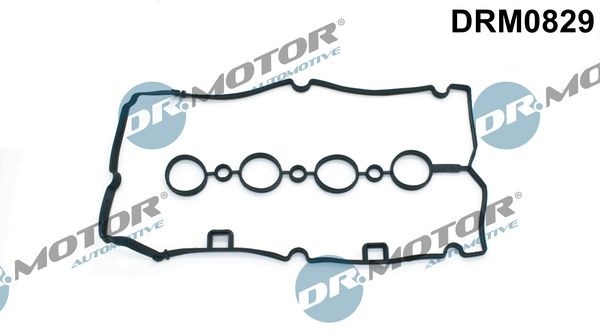 DR.MOTOR AUTOMOTIVE Rocker cover gasket Article number: DRM0829 cheaply