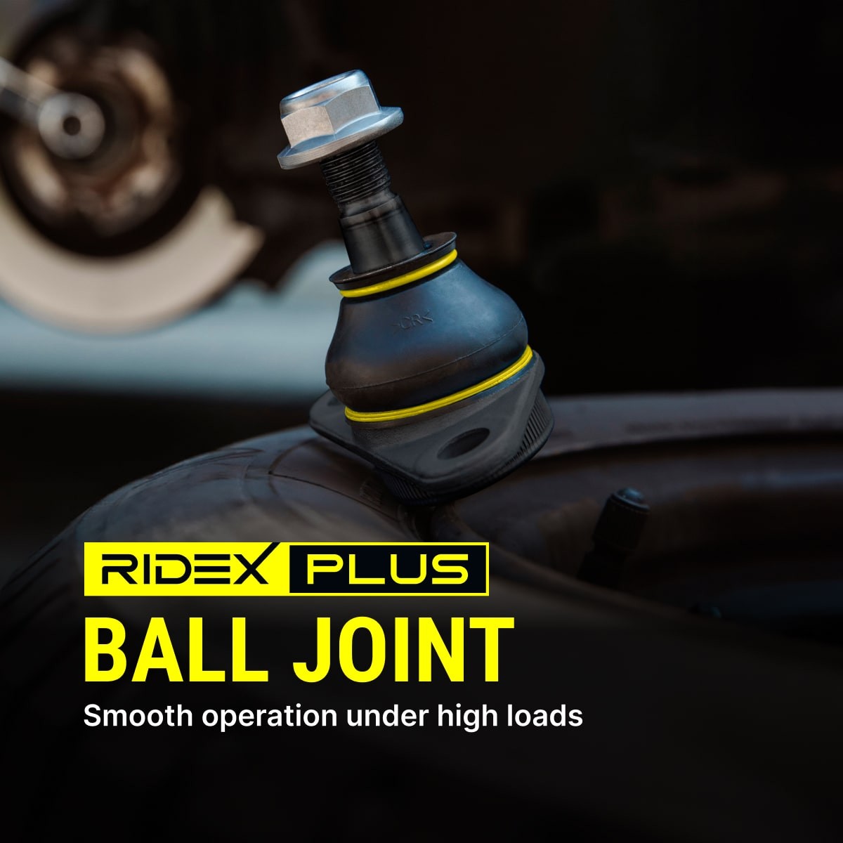RIDEX PLUS Bærekugle Varenummer: 2462S0017P billige
