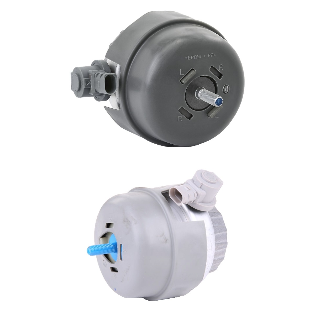 RIDEX Motorlager Artikelnummer: 247E1031 günstig