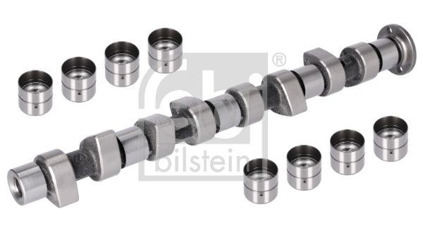 FEBI BILSTEIN Set ax cu came număr articol: 03129 ieftin