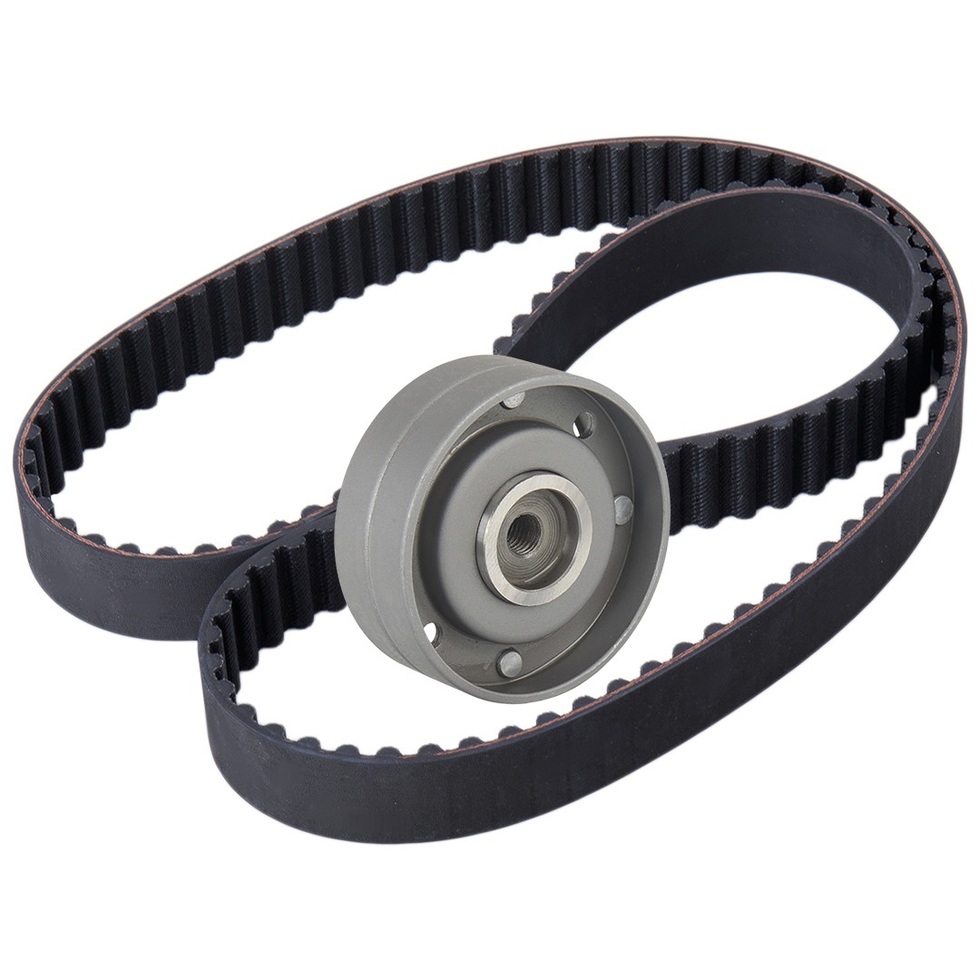 RIDEX Set curea de distributie număr articol: 307T0508 ieftin