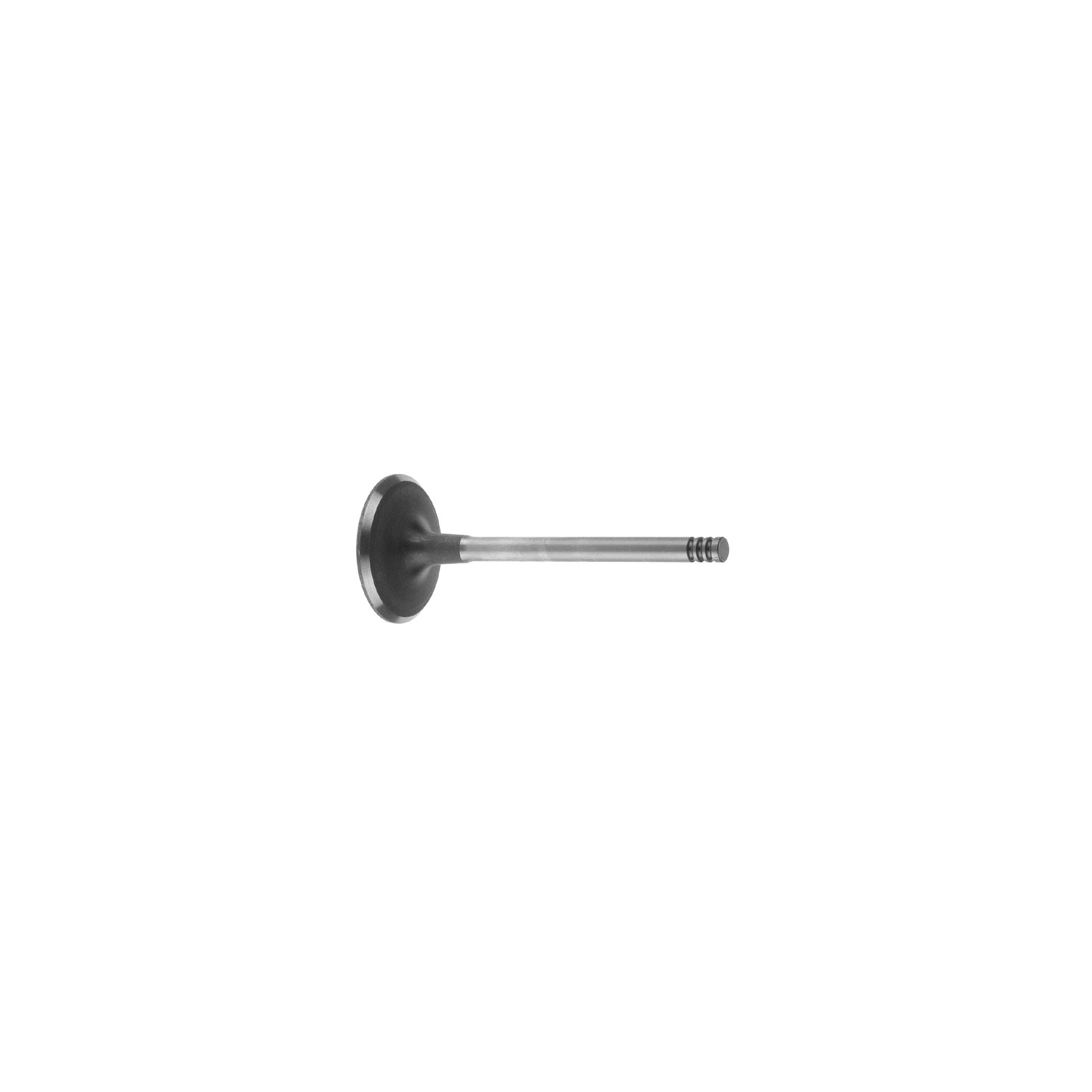 FEBI BILSTEIN Exhaust valve Article number: 19962 cheaply