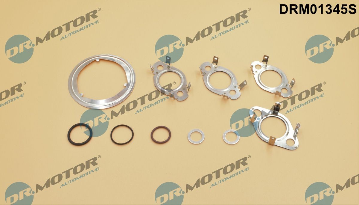 DR.MOTOR AUTOMOTIVE Gasket Set, EGR system Article number: DRM01345S cheaply