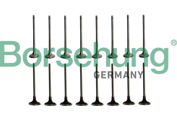Borsehung Ventilsatz, Einlass-/Auslassventil Artikelnummer: B10338 kaufen