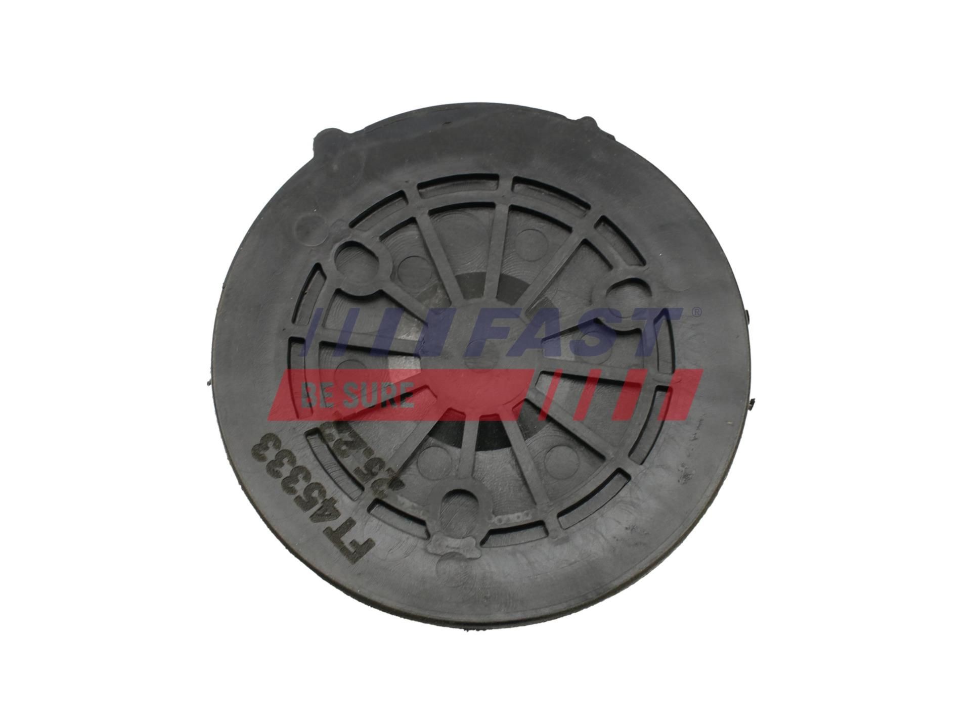 FAST Water pump pulley Article number: FT45568 cheaply