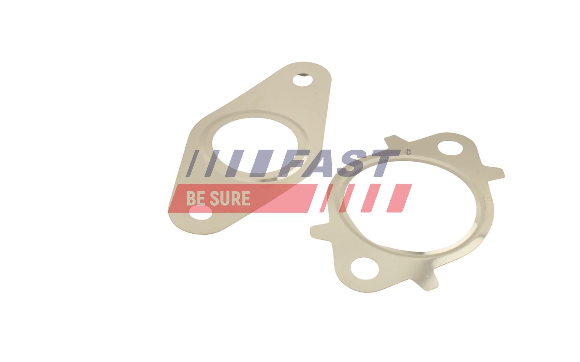 FAST Seal, EGR valve Article number: FT50608 cheaply