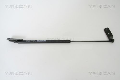 TRISCAN Kaasujousi, tavaratila tuotenumero: 8710 69219 edullisesti