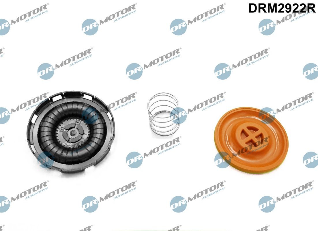 DR.MOTOR AUTOMOTIVE Мембрана, картерна вентилация артикулен номер: DRM2922R евтино