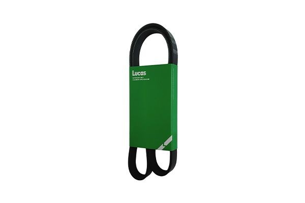 LUCAS Correa trapecial poli V Número de artículo: 6PK0905XL a buen precio